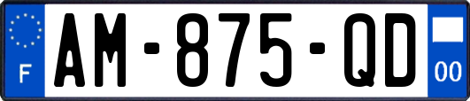 AM-875-QD