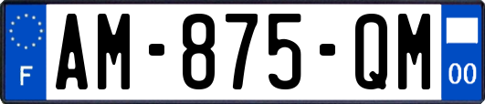 AM-875-QM