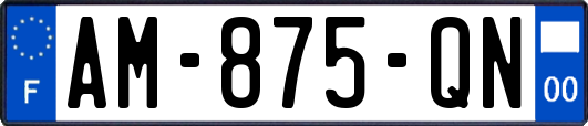 AM-875-QN