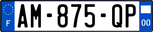 AM-875-QP