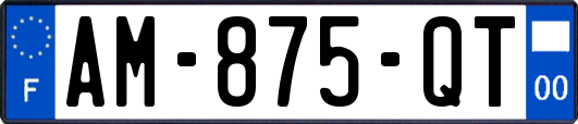AM-875-QT