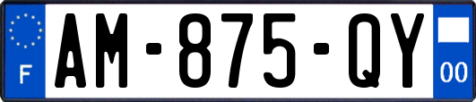 AM-875-QY