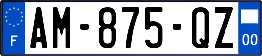 AM-875-QZ