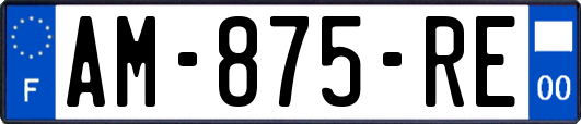 AM-875-RE