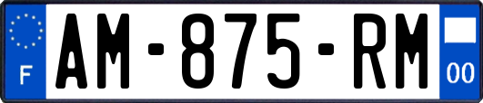 AM-875-RM