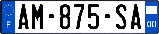 AM-875-SA