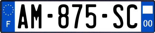 AM-875-SC