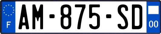 AM-875-SD