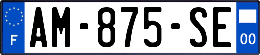 AM-875-SE