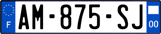 AM-875-SJ