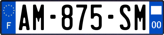 AM-875-SM