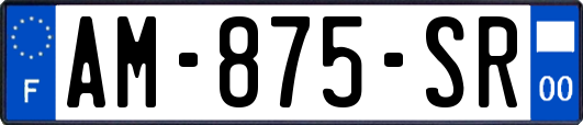 AM-875-SR
