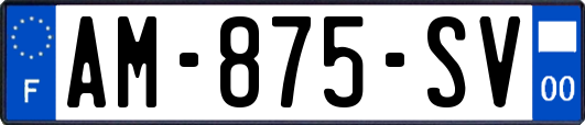 AM-875-SV