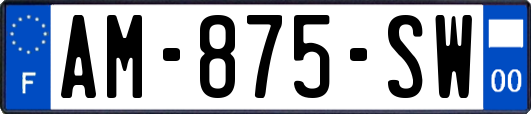AM-875-SW