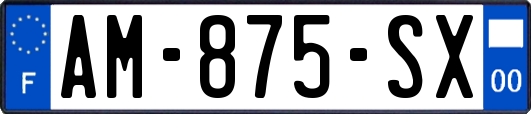 AM-875-SX