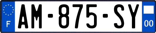 AM-875-SY