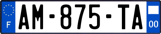 AM-875-TA