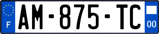 AM-875-TC