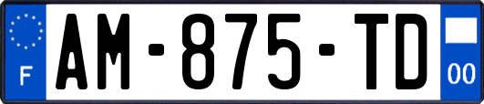 AM-875-TD