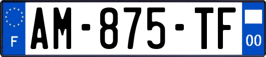 AM-875-TF