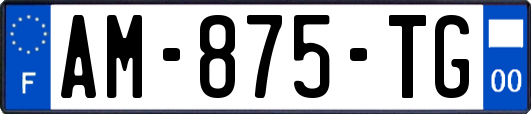 AM-875-TG