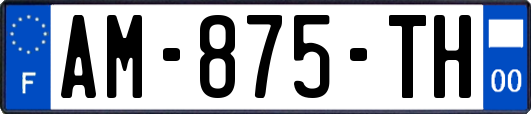 AM-875-TH