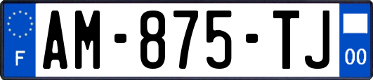 AM-875-TJ
