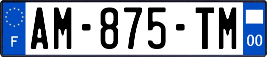 AM-875-TM