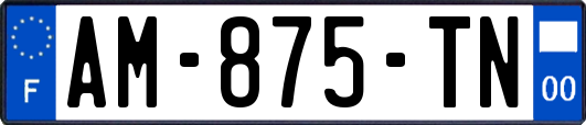 AM-875-TN