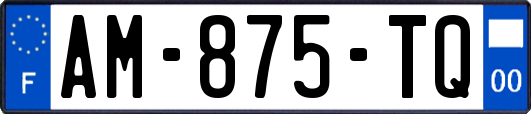 AM-875-TQ