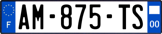 AM-875-TS