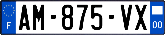 AM-875-VX