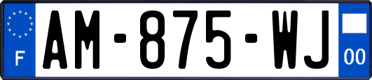 AM-875-WJ