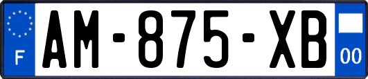 AM-875-XB