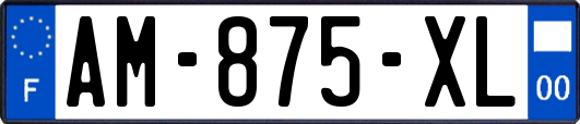 AM-875-XL