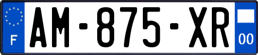 AM-875-XR