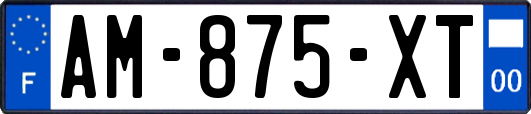 AM-875-XT