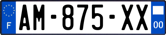 AM-875-XX