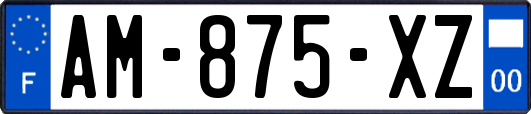 AM-875-XZ
