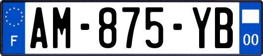 AM-875-YB
