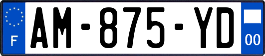 AM-875-YD
