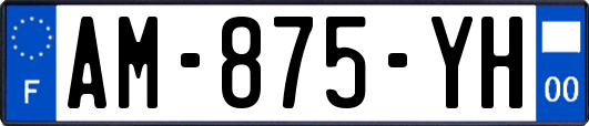 AM-875-YH