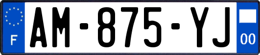 AM-875-YJ