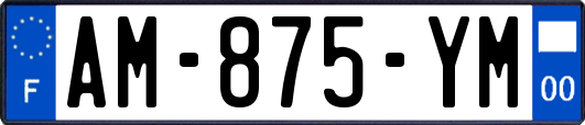 AM-875-YM