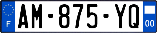 AM-875-YQ
