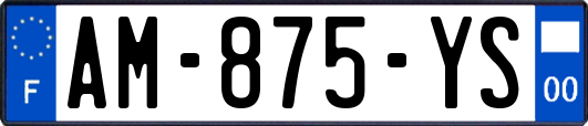 AM-875-YS