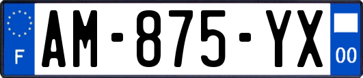 AM-875-YX