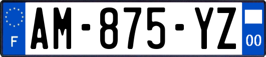 AM-875-YZ