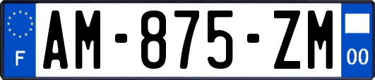 AM-875-ZM