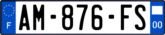 AM-876-FS